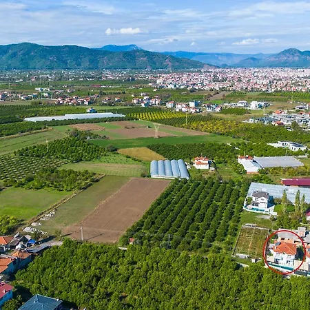 Horizon * オルタジャ